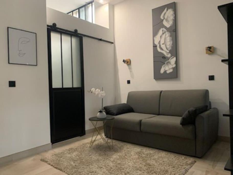 פרפיניין Studio Loft 40M2 De Charme מראה חיצוני תמונה